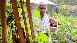 আমাদের সব থেকে প্রিয় সকালের খাবার  villfood special morning healthy breakfast by our Grandmother [upl. by Pren517]