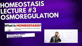 Ch 15 lecture no 3 osmoregulation Urdu  Hindi lecture Ahsan bio wala  Dr Ahsan Majeed [upl. by Neeleuqcaj]