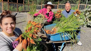 We were BLOWN AWAY with the Carrot and Onion Harvest [upl. by Isaacson]