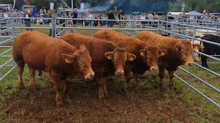 Feria de San Lucas en Hoznayo 19102024 [upl. by Eceinehs]