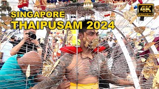 Thaipusam 2024  Thaipusam Singapore 2024  Kavadi Preparation Video 1 [upl. by Risan]