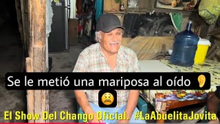 Se le metió una mariposa al oído 👂 y le pega la chiripiorca Don Chuy [upl. by Loria]