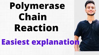 Polymerase Chain Reaction  PCR in Microbiology [upl. by Ferneau]