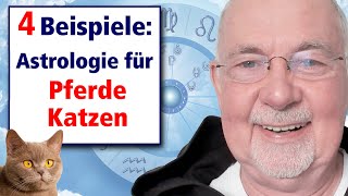 2 Katzen  2 PferdeHoroskope  TierAstrologie mit Ursache amp Lösung bei VerhaltensAuffälligkeit2 [upl. by Collbaith]