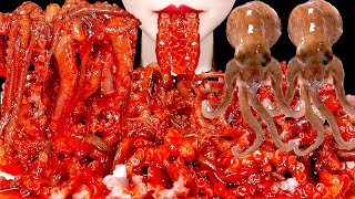 ASMR SPICY OCTOPUS 매운 낙지탕탕이 먹방 咀嚼音辛いタコ MUKBANG EATING SOUNDS  ZOEY ASMR [upl. by Aihsemot769]