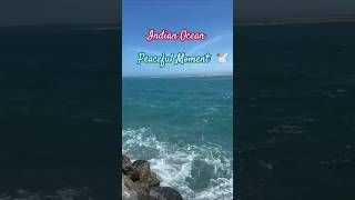 Indian Ocean nice view peaceful place trending music viral ytshorts [upl. by Colligan772]