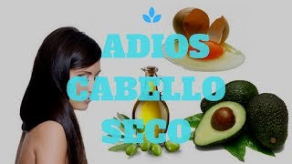 DILE ADIOS AL CABELLO SECO MASCARILLA DE AGUACATE Y HUEVO [upl. by Layne415]