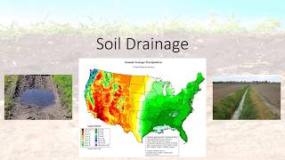 Soil Drainage [upl. by Isdnyl]