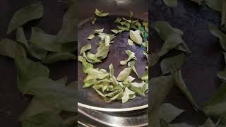 kitchenhacks kitchentips cooking tips food herbs curryleafpowder mosturaskitchen [upl. by Humph]