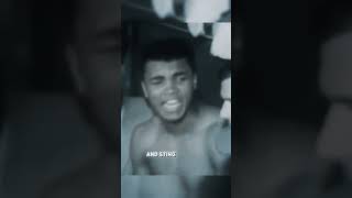 Float Like a Butterfly Sting Like a Bee boxinglegends boxing sports ytshorts [upl. by Arraek]