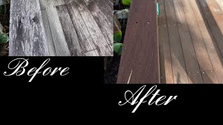 Using sodium metasilicate to restore wood followed by oxalic acid to balance ph and brighten [upl. by Asik]