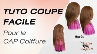 TUTO COUPE facile pour le CAP Coiffure extrait de formation [upl. by Eldreeda]