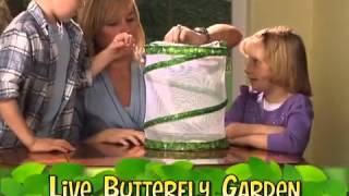 Butterfly Garden Kit [upl. by Ave]