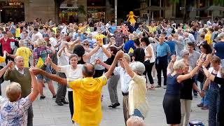 Sardana Catalan Dancing in the Cathedral Square Barcelona [upl. by Amek171]