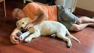 Dads Who Didn’t Want The Damn Dog In Their Lives 🤣 Funny Dog and Human [upl. by Atrebla]