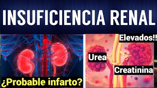 INSUFICIENCIA RENAL AGUDA Y CRÓNICA  Fisiopatología Síntomas y Tratamiento [upl. by Edmanda]