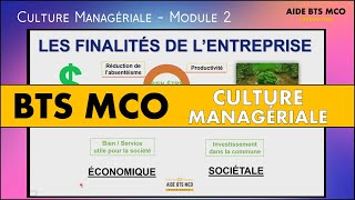 AIDE BTS MCO  Quelles sont les finalités des entreprises  RSE  CULTURE MANAGERIALE BTS [upl. by Akahs]