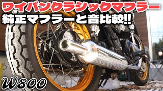 【W800】ワイバンクラシックマフラーと純正マフラーを音比較してみた‼︎ [upl. by Brina565]