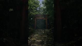 Torii Gate  Unreal Engine 5 [upl. by Dibri]