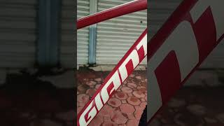 Giant Talon 2 29er 2024 bikestation ShimanoCues1x9 [upl. by Russel]