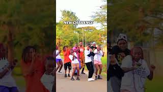 Tipsy Gee  Tiri Tiri tiktok dance challenge dancechallenge dance [upl. by Eey472]