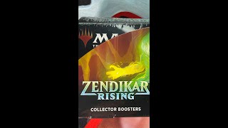 LOADED Zendikar Collector Box Opening Highlights [upl. by Monahan240]