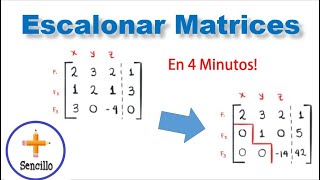 Como Escalonar matrices Método de Gauss Mas Sencillo [upl. by Neffets344]