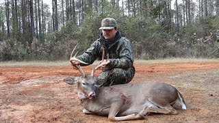 Alabama Deer Hunting 2023  Brody’s 8 point [upl. by Inol838]