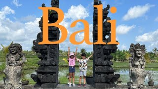 Bali Trip Nov 2024 Med v1 [upl. by Signe81]