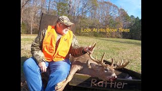 Awesome Brow Tines [upl. by Charpentier]