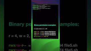 Linux commands for beginners part 16  File permissions 3 shorts [upl. by Tarkany]