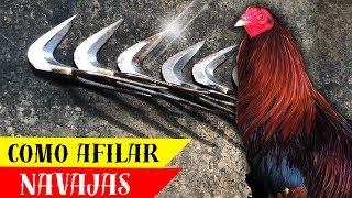 Como se afilan las navajas para gallos [upl. by Adlen]