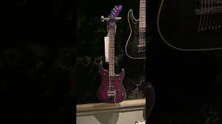 Eddie Van Halen Guitar  5150 Deluxe Purple Daze [upl. by Petronille]