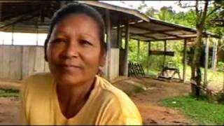 We visit an Arawak indian settlement and speak with some women tribal chief Daniel Gomez [upl. by Sower]