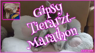 Gipsy  TierarztMarathon [upl. by Richma]