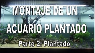 Evolución de un acuario plantado Montaje parte 2 Plantado [upl. by Eurydice556]