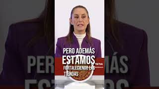 Claudia Sheimbaum Sembremos Vida y Sembremos Paz Paz Mexico [upl. by Courtland]