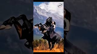 Horse and Woman action entertainmentyoutubeshort viralshortviewshorse actionfunnyfastrunning [upl. by Nonnek361]