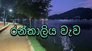 Ranthaliya Wewa  Kurunegala Lake Round  රන්තාලිය වැව  කුරුණෑගල වැව රවුම [upl. by Rosol]