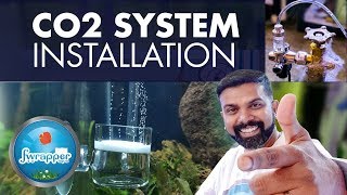 CO2 System Installation  Planted Aquarium Setup [upl. by Simeon]