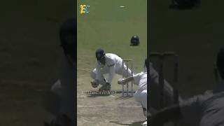 Part 3  MS Dhoni in God Mode Behind the Stumps  lighting stumping by Thala msdhoni dhoni msd [upl. by Ydollem]