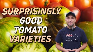 TOMATOES THE VARIETIES THAT SURPRISED ME [upl. by Soutor]