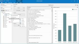 DevExpress Dashboards Calculated Fields [upl. by Ycnahc]