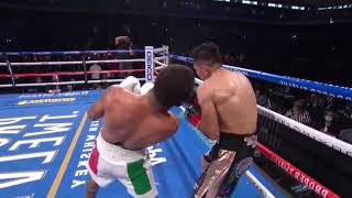 Gervonta Davis vs Leo Santa Cruz Knock Out  Hyper Slow Motion HD [upl. by Ahsini]