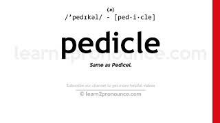 Pronunciation of Pedicle  Definition of Pedicle [upl. by Corso]