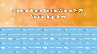 Nordisk VinnerNordic Winner 2023 Nordic dog show [upl. by Analat395]