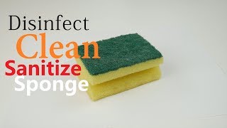 How To Sanitize Clean Disinfect Kitchen Sponge Easy Simple [upl. by Ellenrahc]