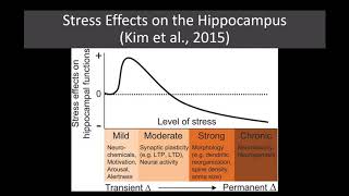 Lecture 29 Introduction to Depression [upl. by Idok]