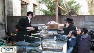 Erev Pesach in Boro Park Part 1 [upl. by Gib]