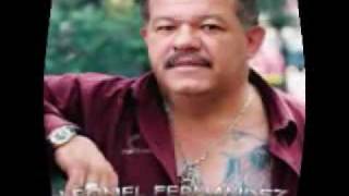 Leonel Fernandez  El Sapito Remix VIDEO OFICIALflv [upl. by Cirdahc]